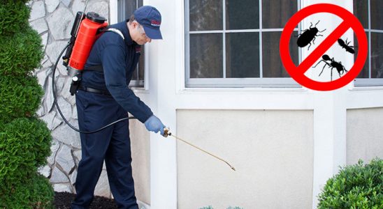 Keles Dezenfeksiyon böcek ilaçlama ve haşere kontrolü — ilaclama-tr.com